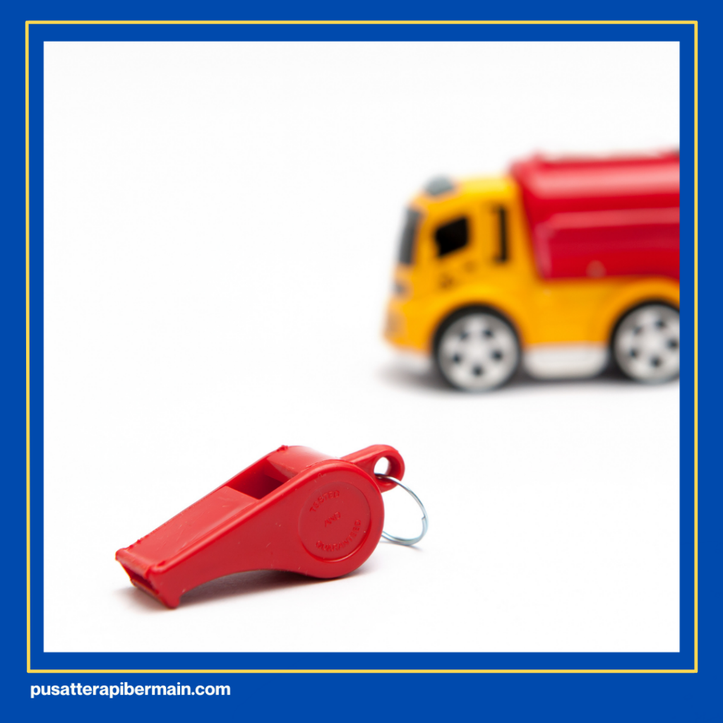 Alat Terapi Sensori Integrasi