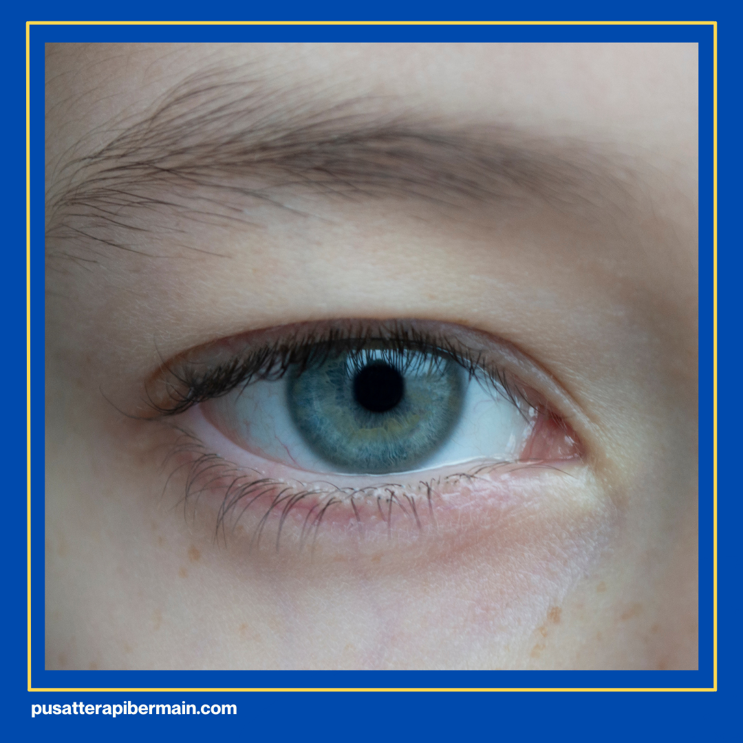 7 Dasar Sensori Integrasi 