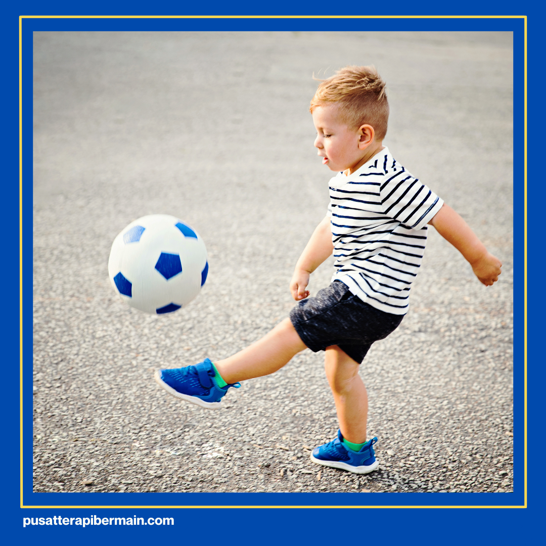 Piramida Sensori Integrasi