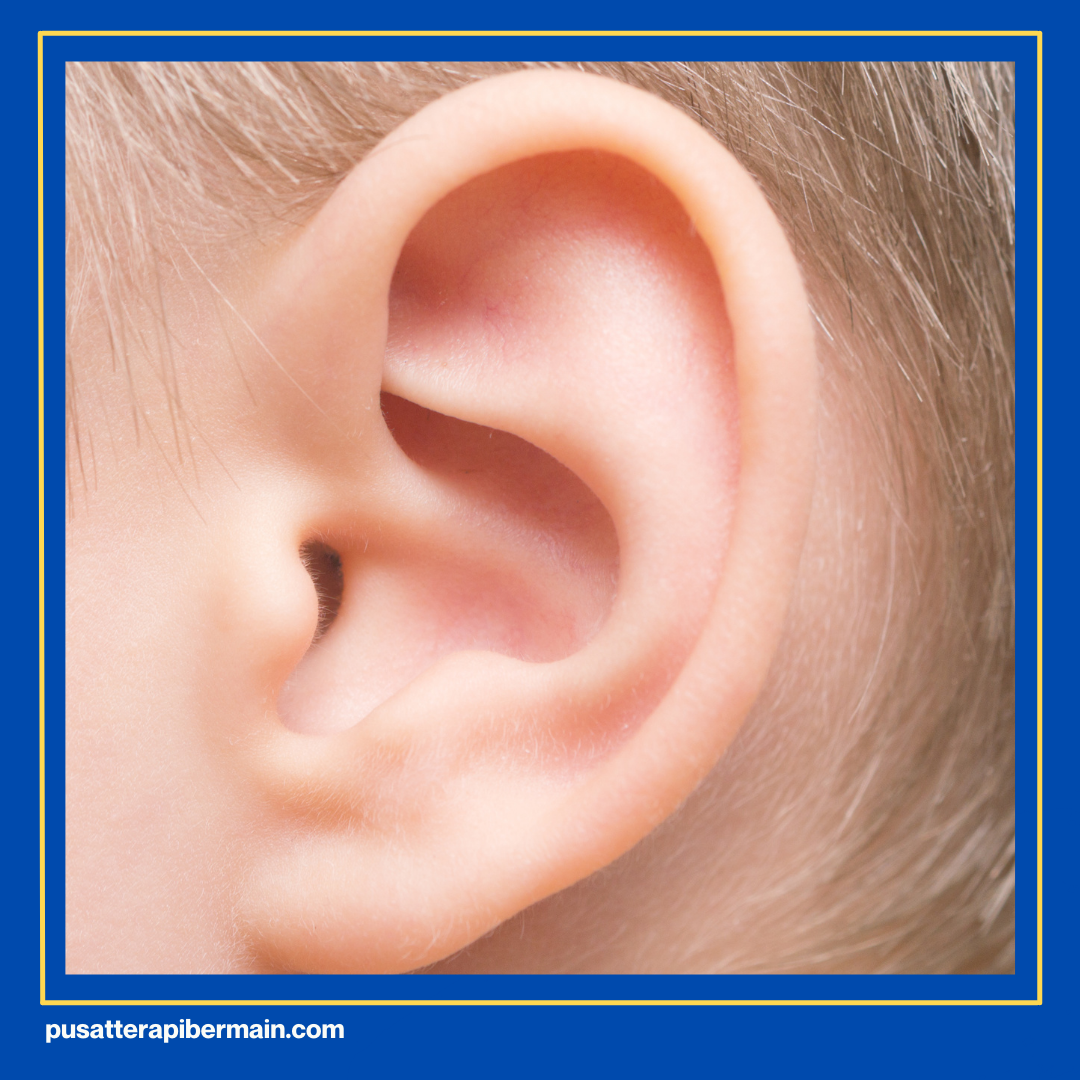 7 Dasar Sensori Integrasi 