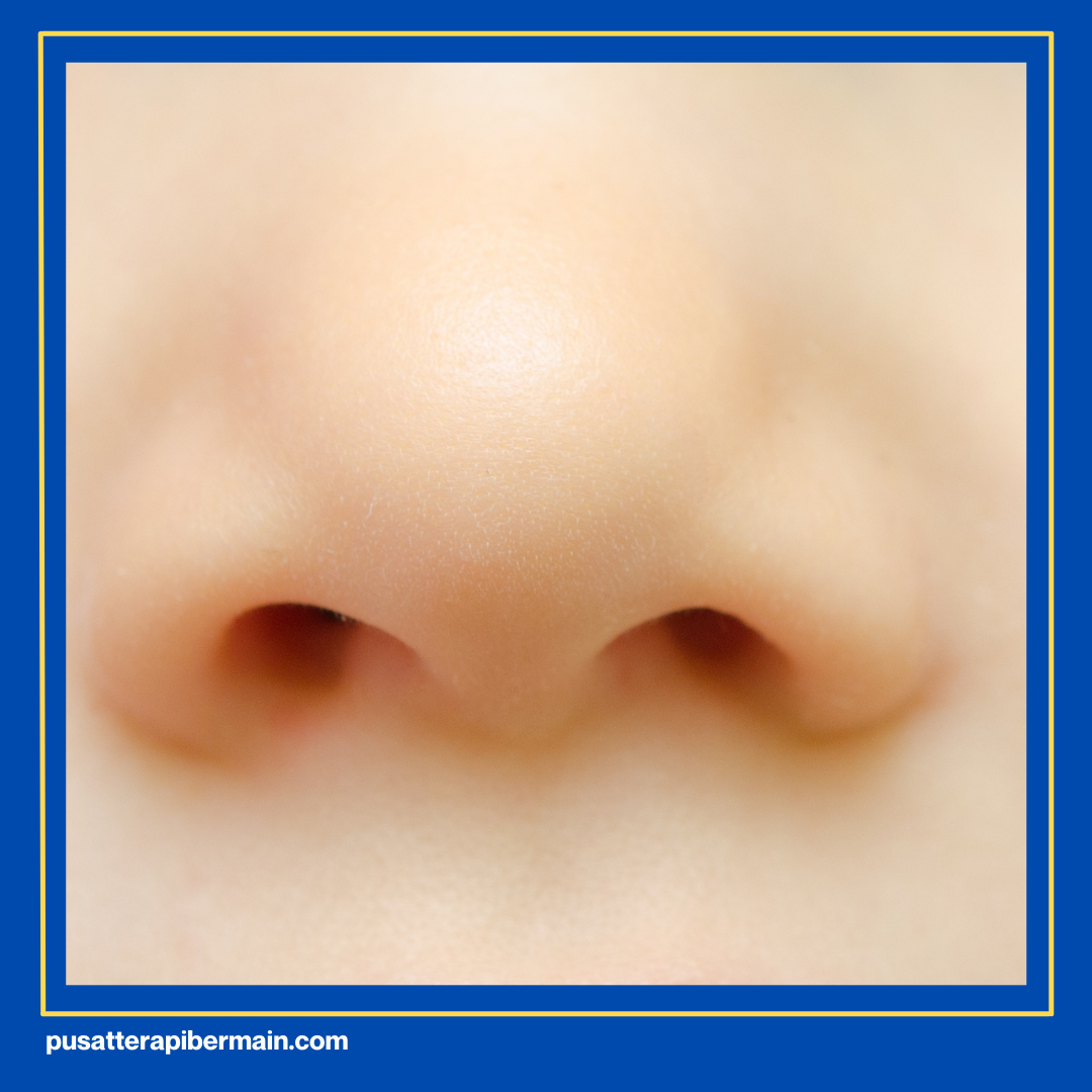 7 Dasar Sensori Integrasi 